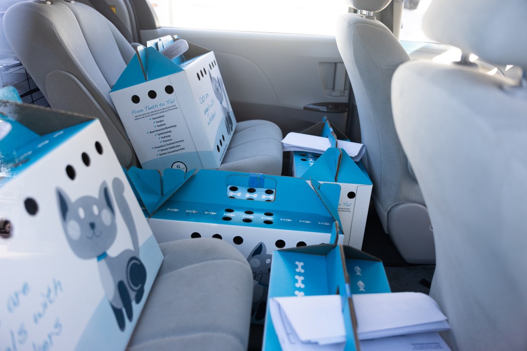 AA1RRy0l Photos: SD Humane Society brings in over 2 dozen at-risk kittens from Stockton shelter