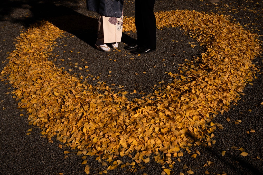 AA1RSC5s Weather of the world: December 1-7