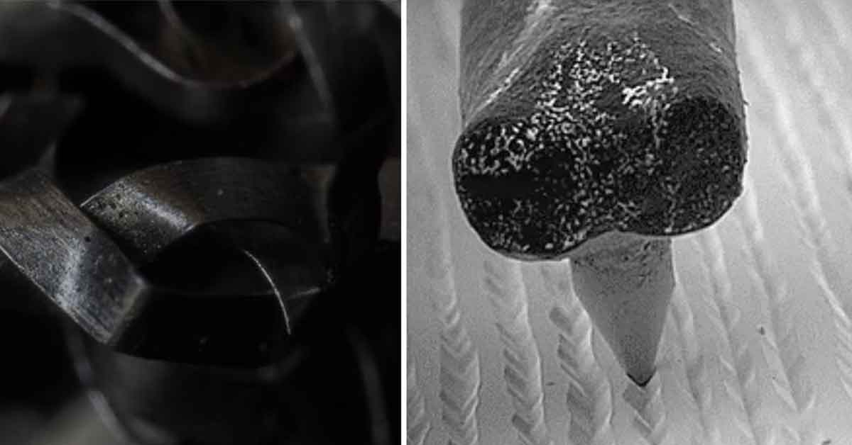 Microscopic photos of things at their very smallest