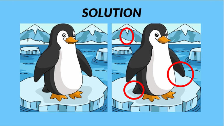 Only eagle eyes can spot 3 differences in 15 seconds!