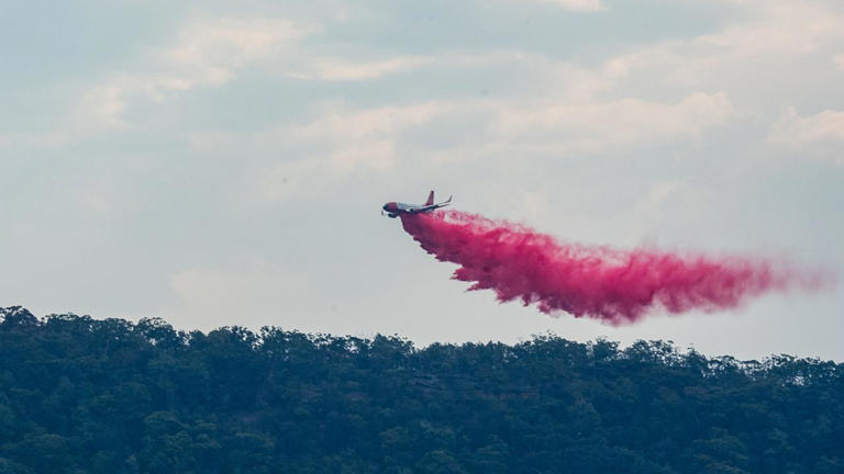 Veteran firefighter dies in bushfire horror