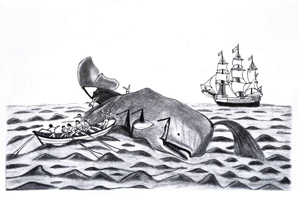 AA1RSngS Titans of the abyss: How sperm whales and giant squid differ