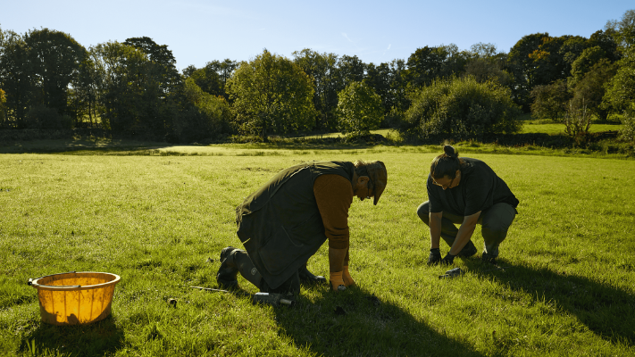 AA1RSnrh Why were acres of hay meadows restored in the Lake District?