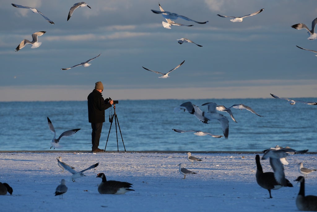 AA1RSwYt Weather of the world: December 1-7