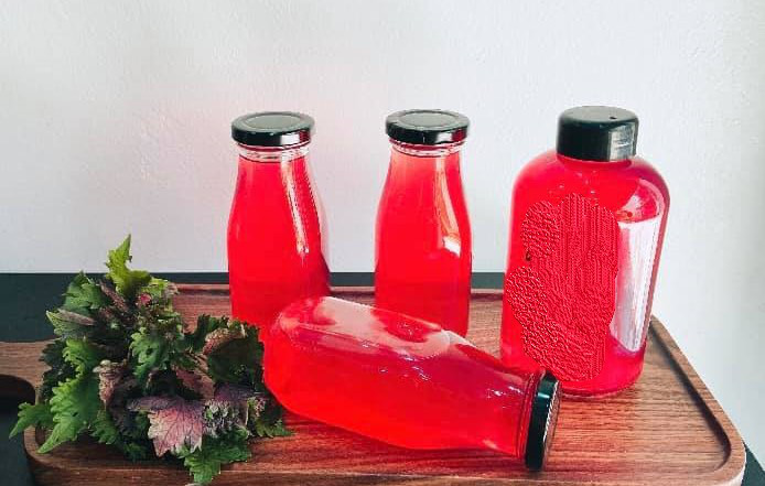 Bài thuốc dân gian hữu ích từ lá tía tô, nhưng ai nên dùng và dùng bao nhiêu là tốt?