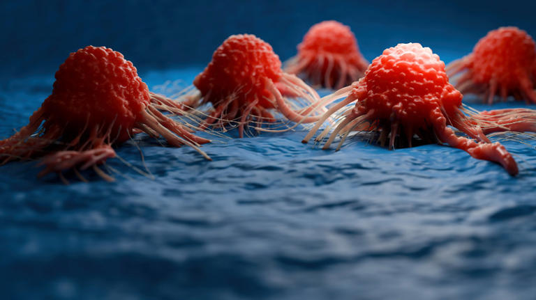 What does nuclear radiation actually do to your body?