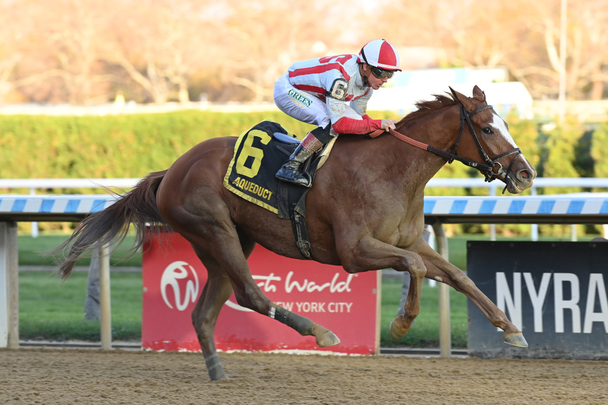 Fully subscribed handy winner in Comely