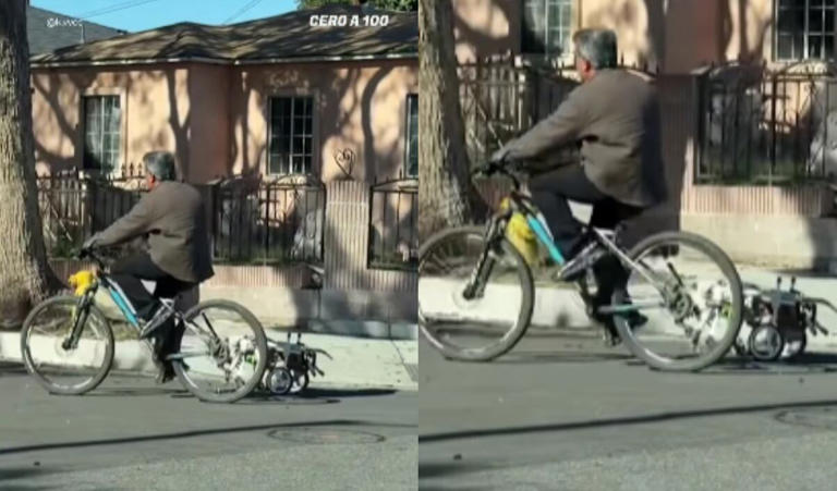 Hombre conmueve y se vuelve viral al pasear en bicicleta acompañado de ...