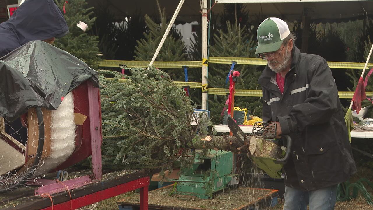 Families create memories at Severt’s Tree Farm during the holiday season