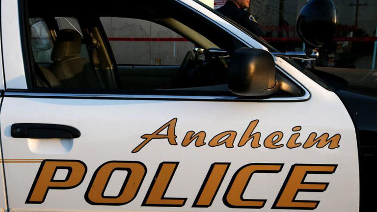 Exotic dancer who decapitated man she met at work is captured in Mexico ...