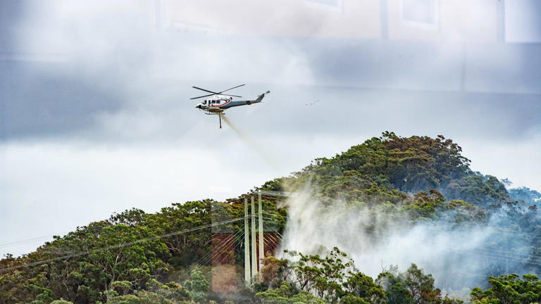 Veteran firefighter dies in bushfire horror