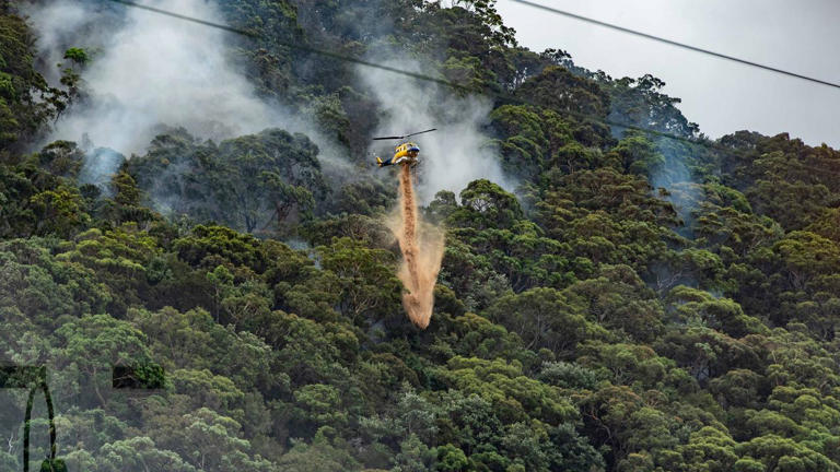 Veteran firefighter dies in bushfire horror