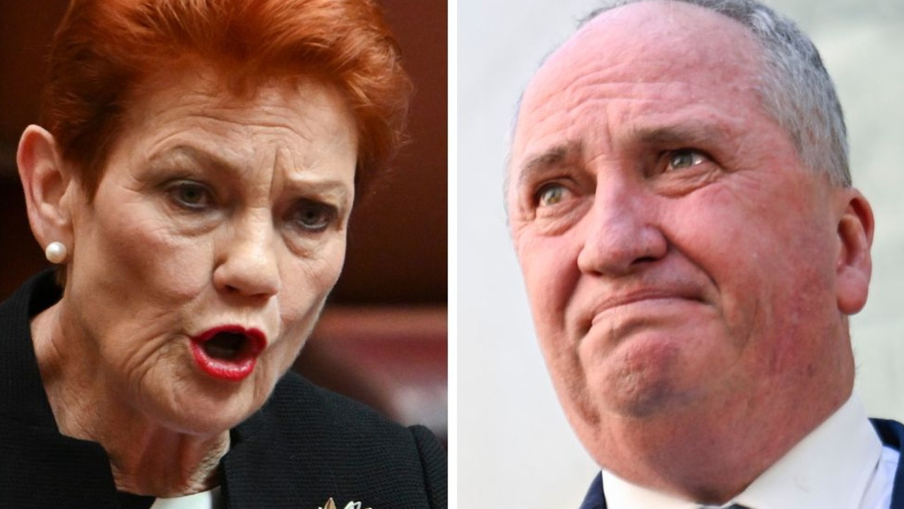 'Two turns': Pauline's bizarre Biden swipe