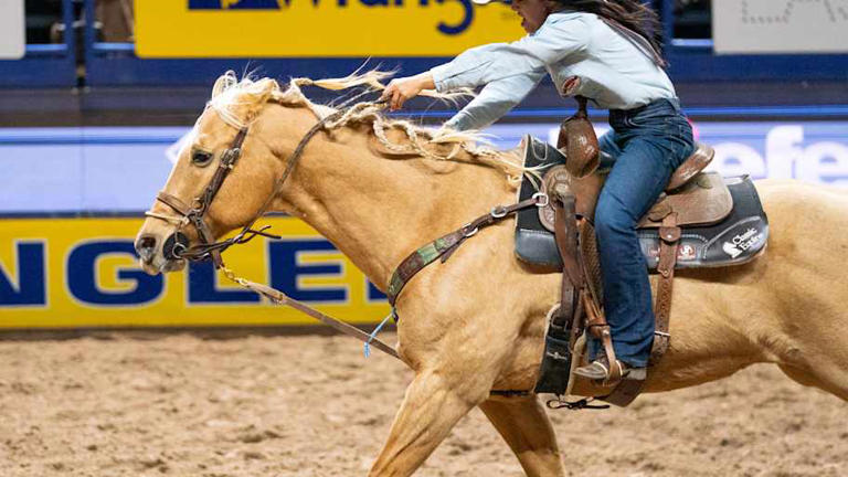 Four-time world champion will not be aboard WPRA horse of the year for ...