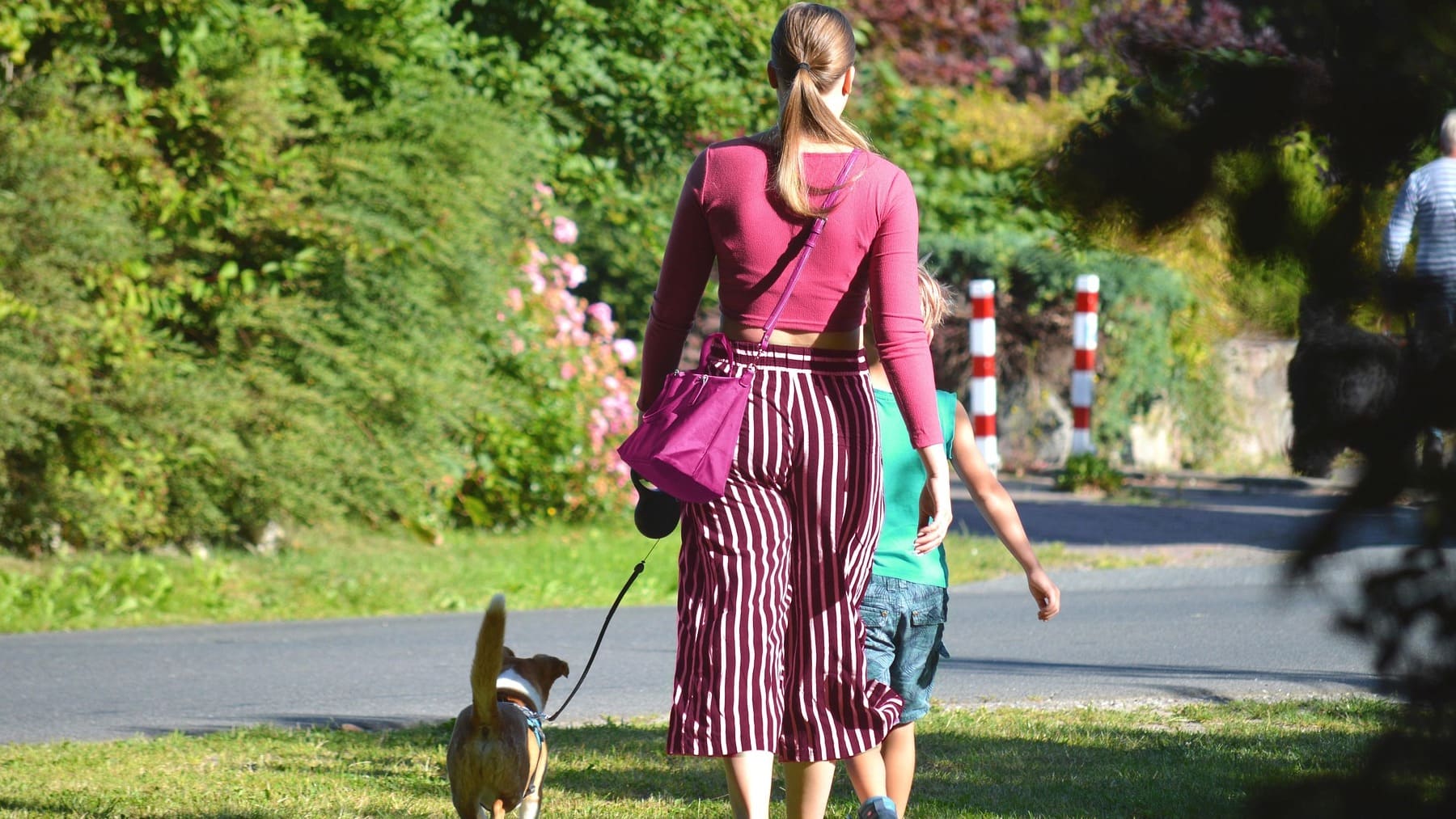 ¿Cómo debemos decir en español, «idos» o «iros»? La RAE deja claro cuál ...