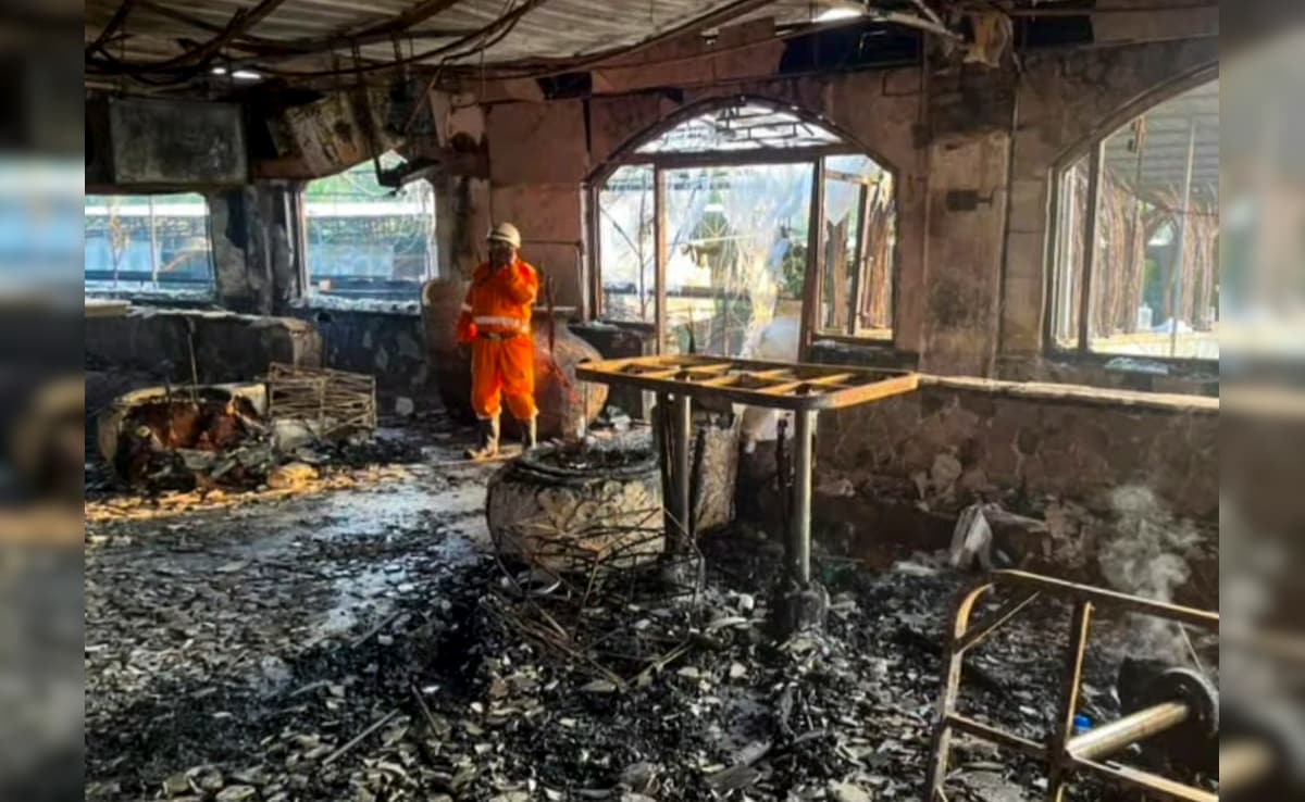 Searches held in Delhi, Goa in connection with night club fire that ...