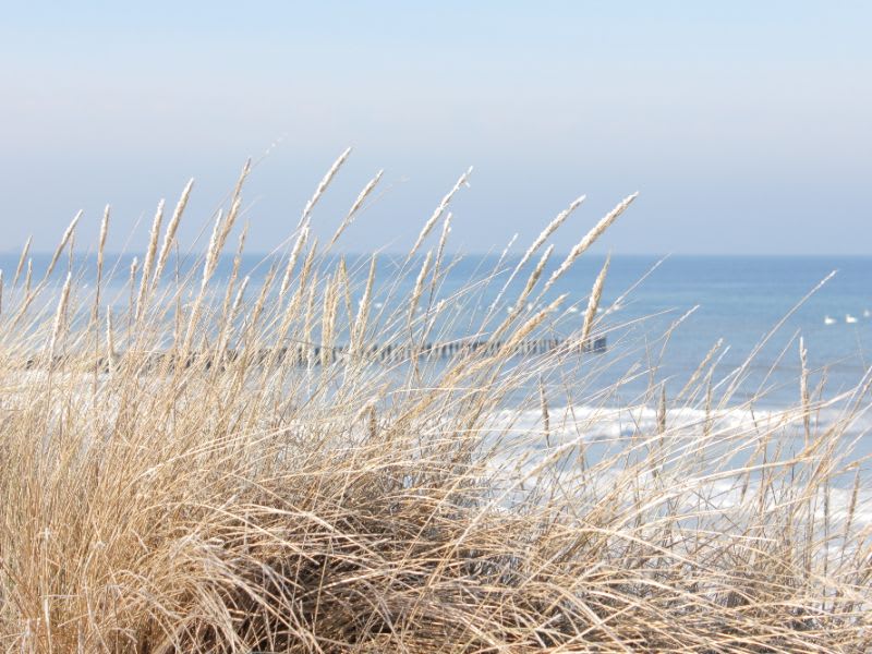 wassertemperatur-luettmoorsiel-wie-kalt-die-nordsee-heute-und-die