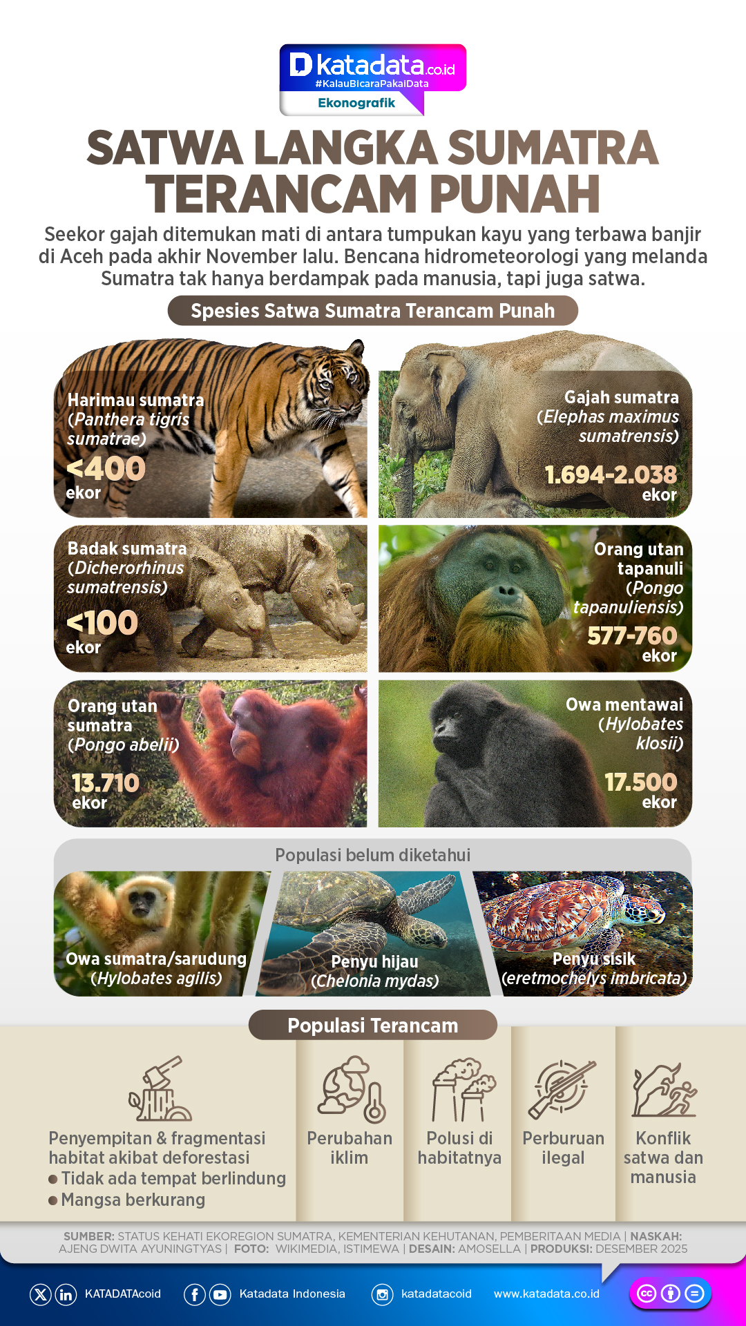 Infografis: Satwa Langka di Pulau Sumatra