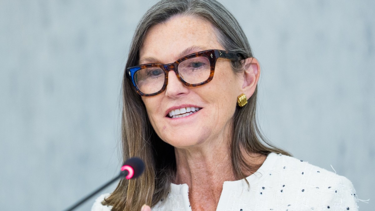 Cathie Wood sells $15.8 million of Meta stock