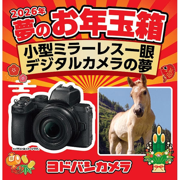 ヨドバシ・ドット・コムにて「2026年 夢のお年玉箱」の追加抽選販売実施!