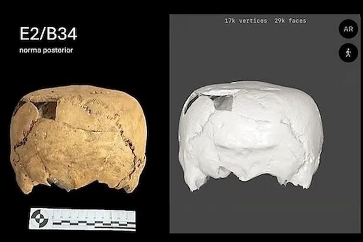 Misteri Tengkorak Kubus Berusia 1.400 Tahun, Mengapa Kepalanya Rata?