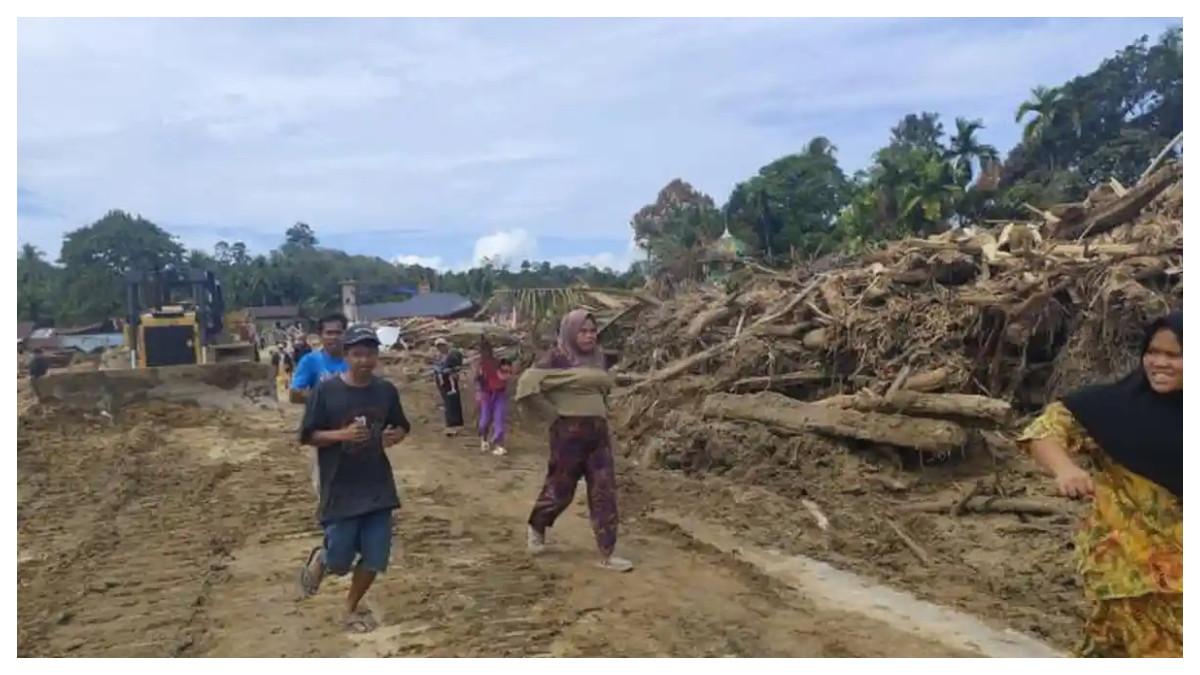 Bupati Tapsel Ungkap Pelaku Penebangan Pohon dan Sebut Izin PHAT Kemenhut Seperti Karcis