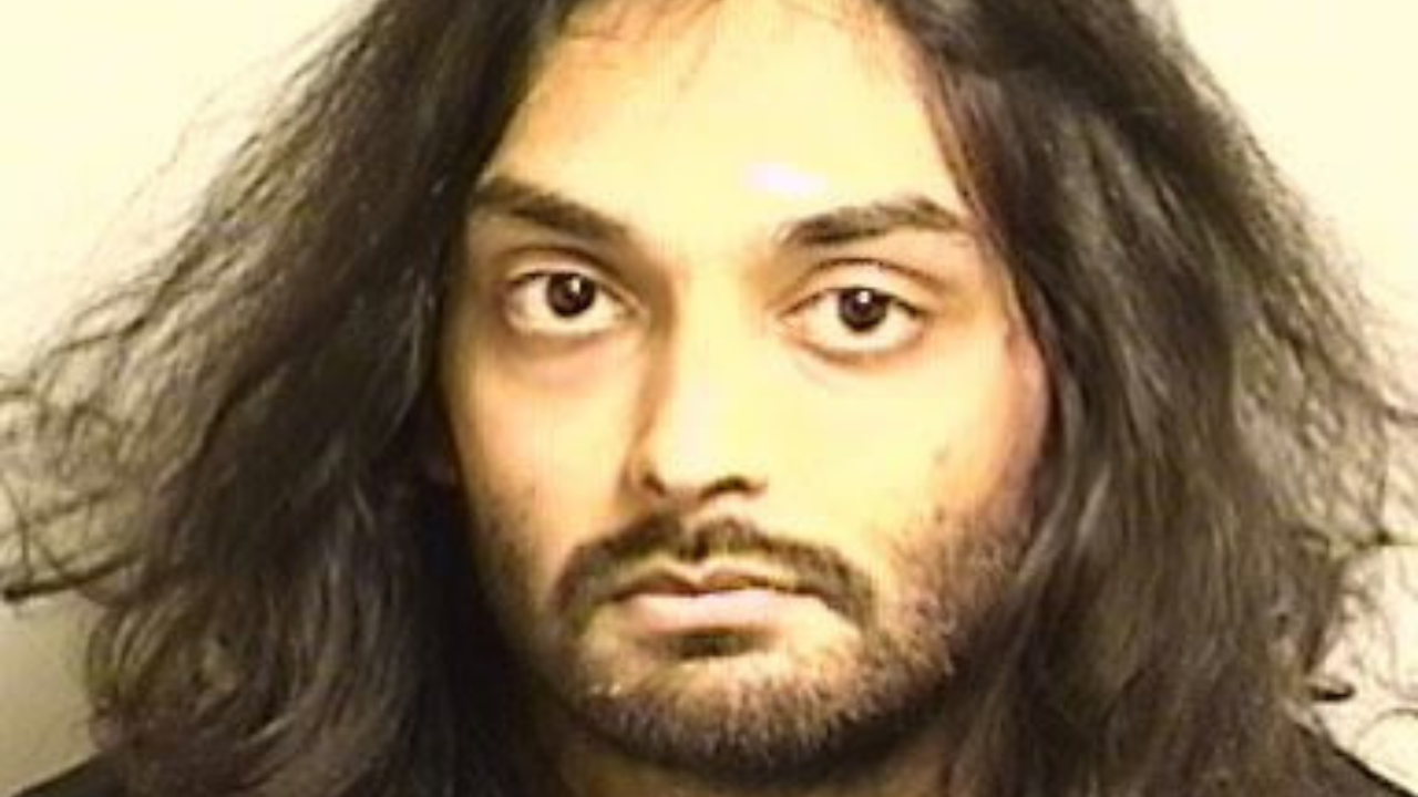 Indian-origin man charged with murder in California; was driving Tesla ...