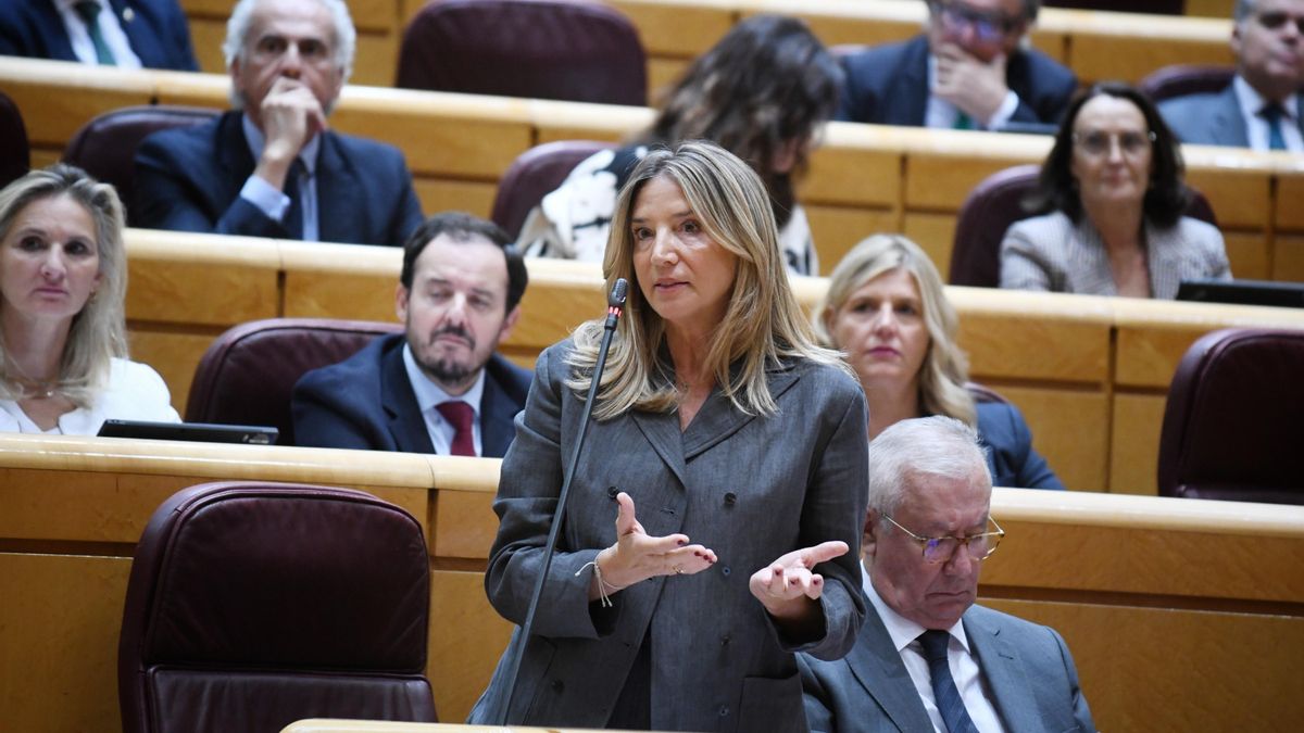El PP llamará a Francisco Salazar a declarar en la comisión del Senado ...