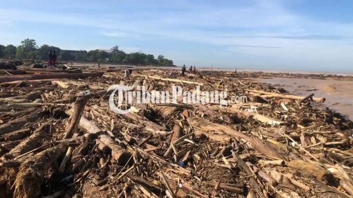 Mantan Kabareskrim Akui Kesulitan Lacak Asal Kayu Terbawa Banjir Sumatra