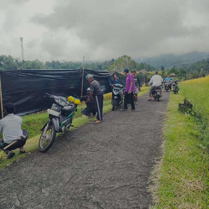 Nasib Restoran Petani yang Bergantung pada Wisata di Jatiluwih Bali