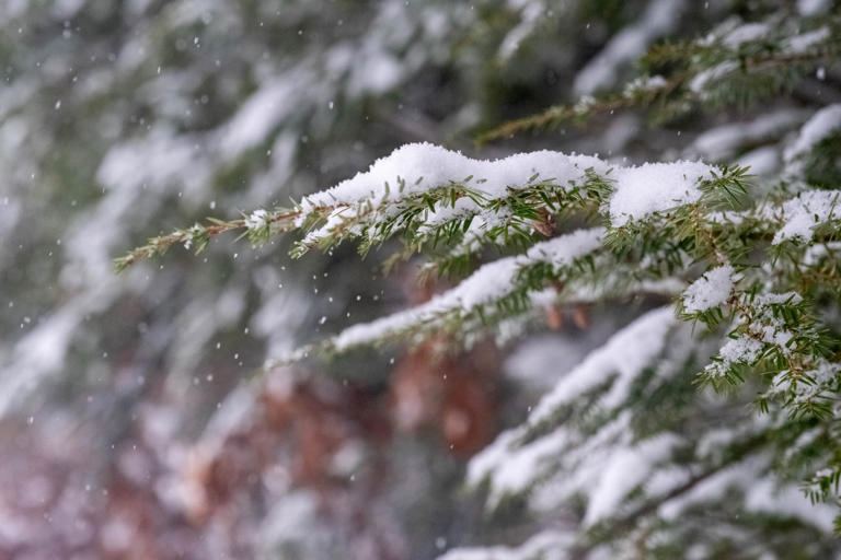 El tiempo en Massachusetts: Una ola ártica congela el estado; se pronostica nieve