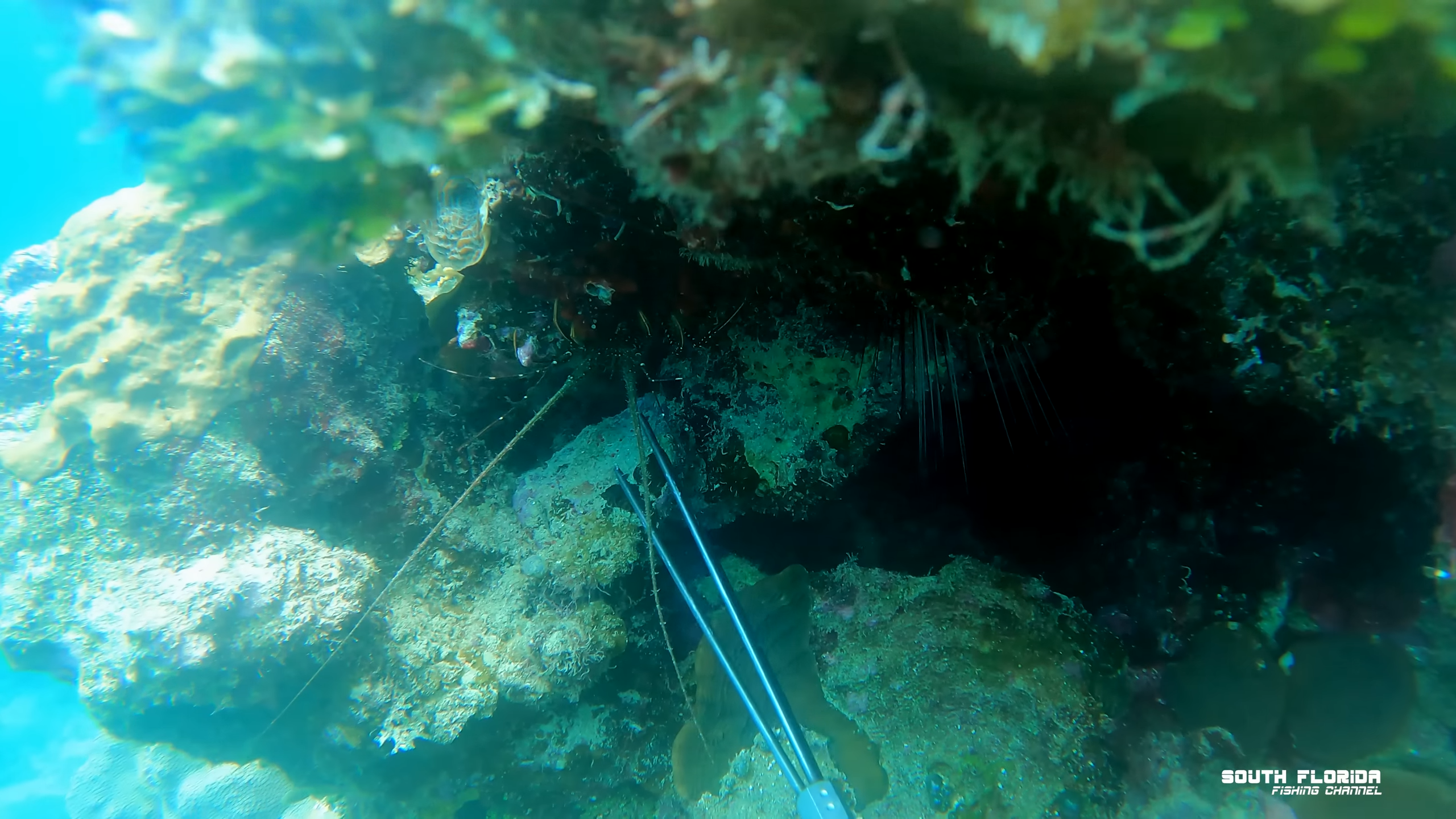 Fishing 1200 feet down off Jamaica
