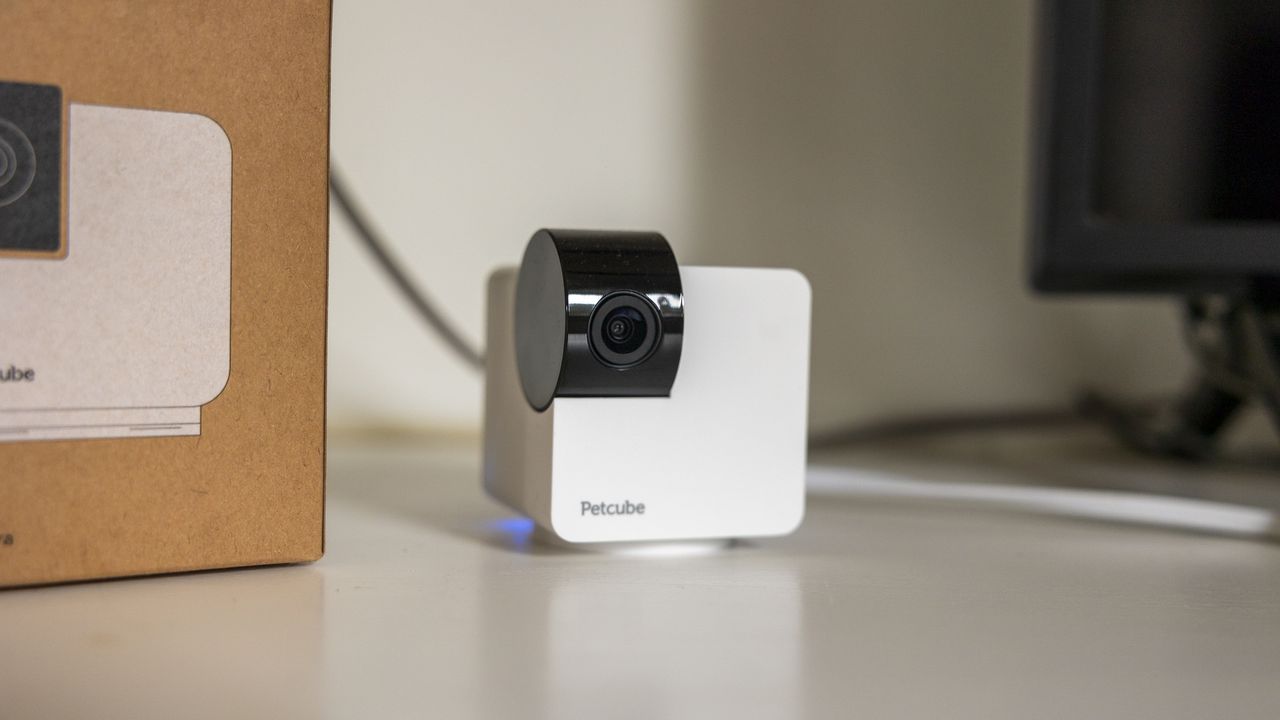 Petcube Cam 360 review: This affordable rotating pet camera aims to ...