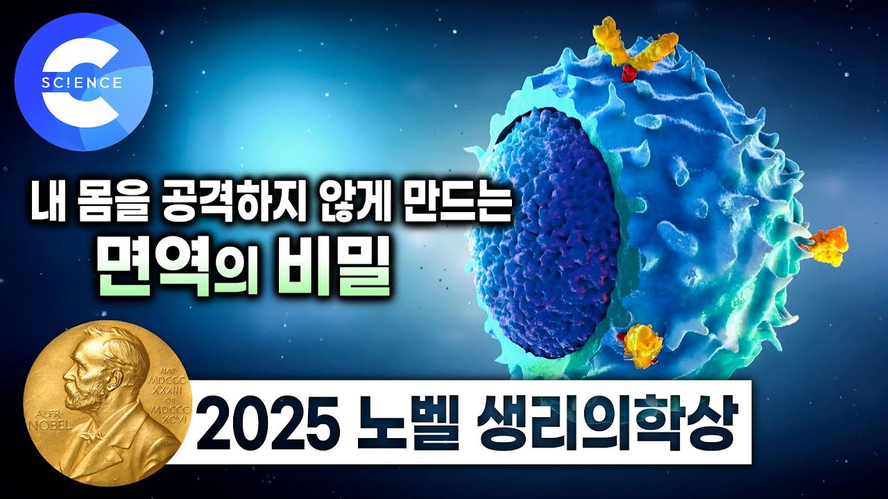 면역세포만 조절해도 이 병들이 낫는다고?🧬 2025 노벨상! 면역 조절로 치료 가능한 병들 | 자가면역질환 | 지식채널e