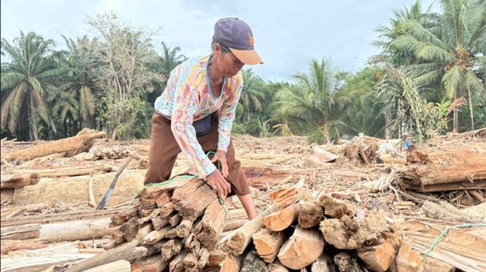 Respons DPR, Warga Manfaatkan Kayu Sisa Banjir yang Bernilai Ekonomis, Alex: Tidak Boleh