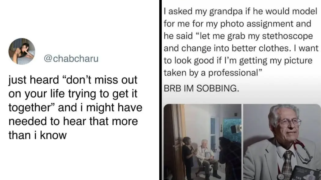 29 random happy memes to get you through the week