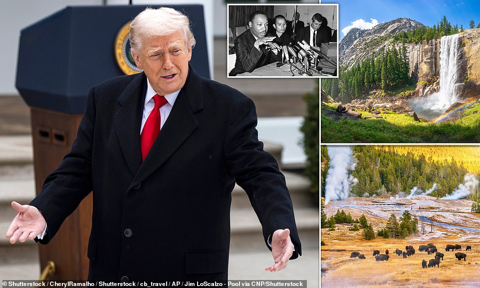 NATIONAL PARK FREE ENTRY DAYS TRUMP visual data 8