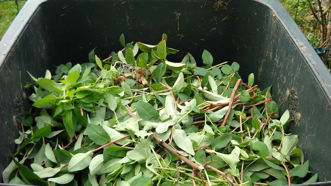How to compost in an apartment without the smell