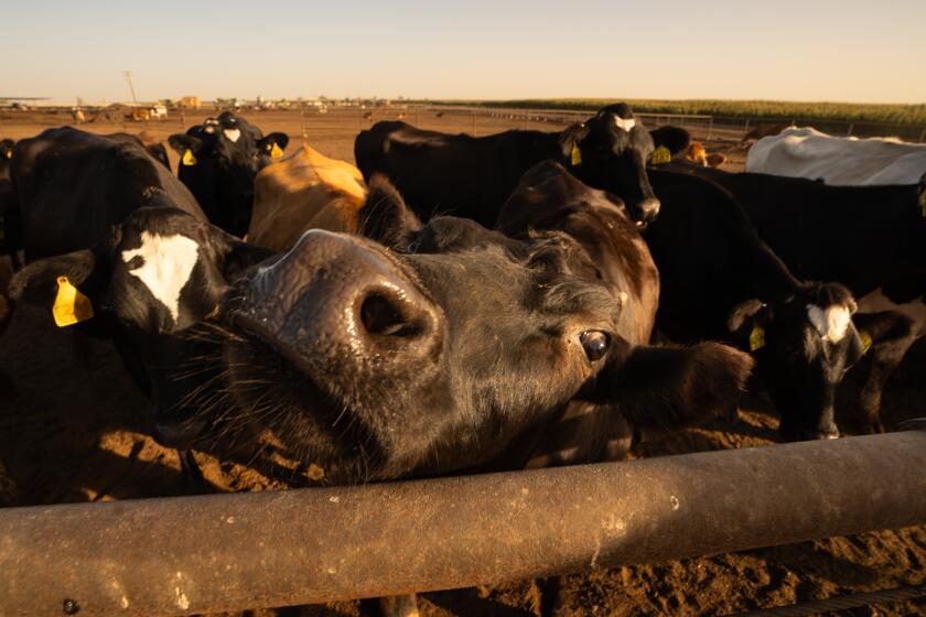 Trump is proposing a $12-billion aid package for farmers hit by his ...