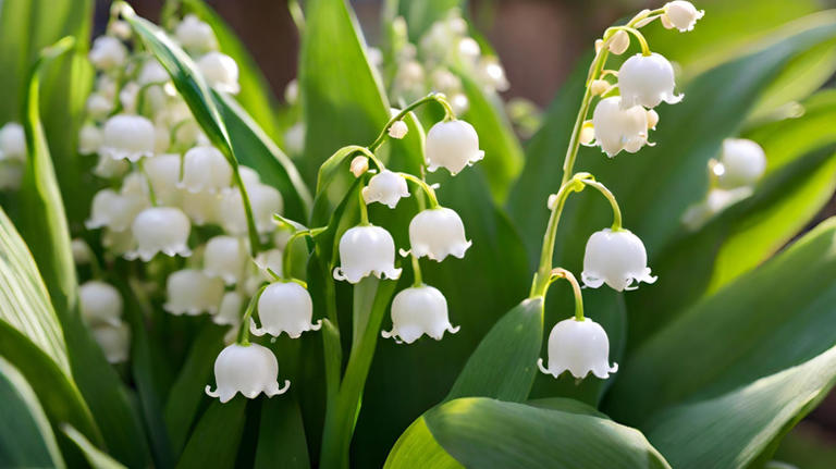 12 common plants to avoid putting in your garden if you own pets