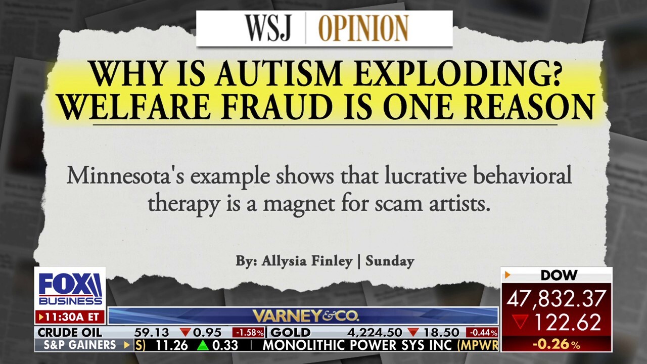 WSJ reporter: Welfare fraud is fueling America’s autism surge