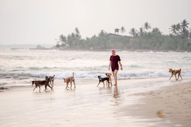 Research suggests longer walks may protect your heart