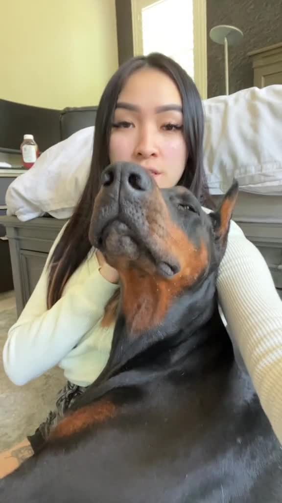 Why reading your dog's body language matters