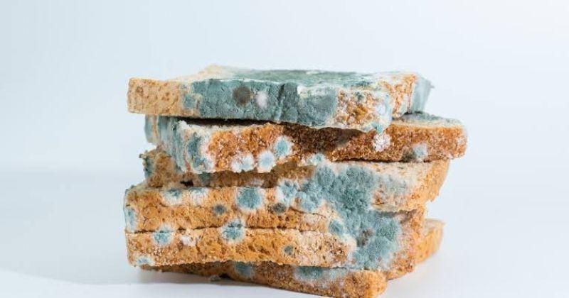 Perbedaan Tanda "Expired" dan "Best Before" pada Kemasan Makanan