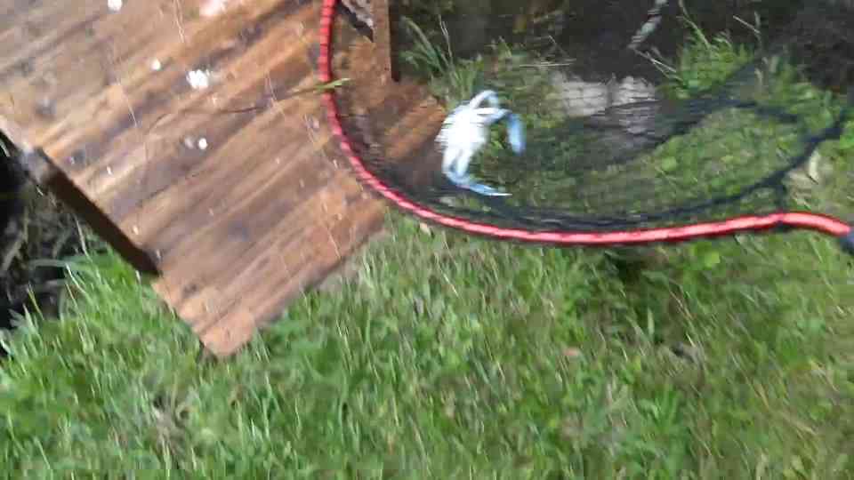 We built an all-natural crab trap in a river dead end