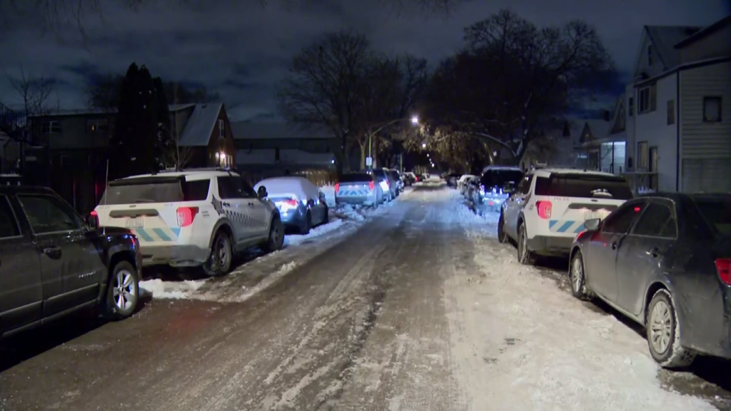 Woman shot and killed, man taken into custody on Chicago's Southeast Side