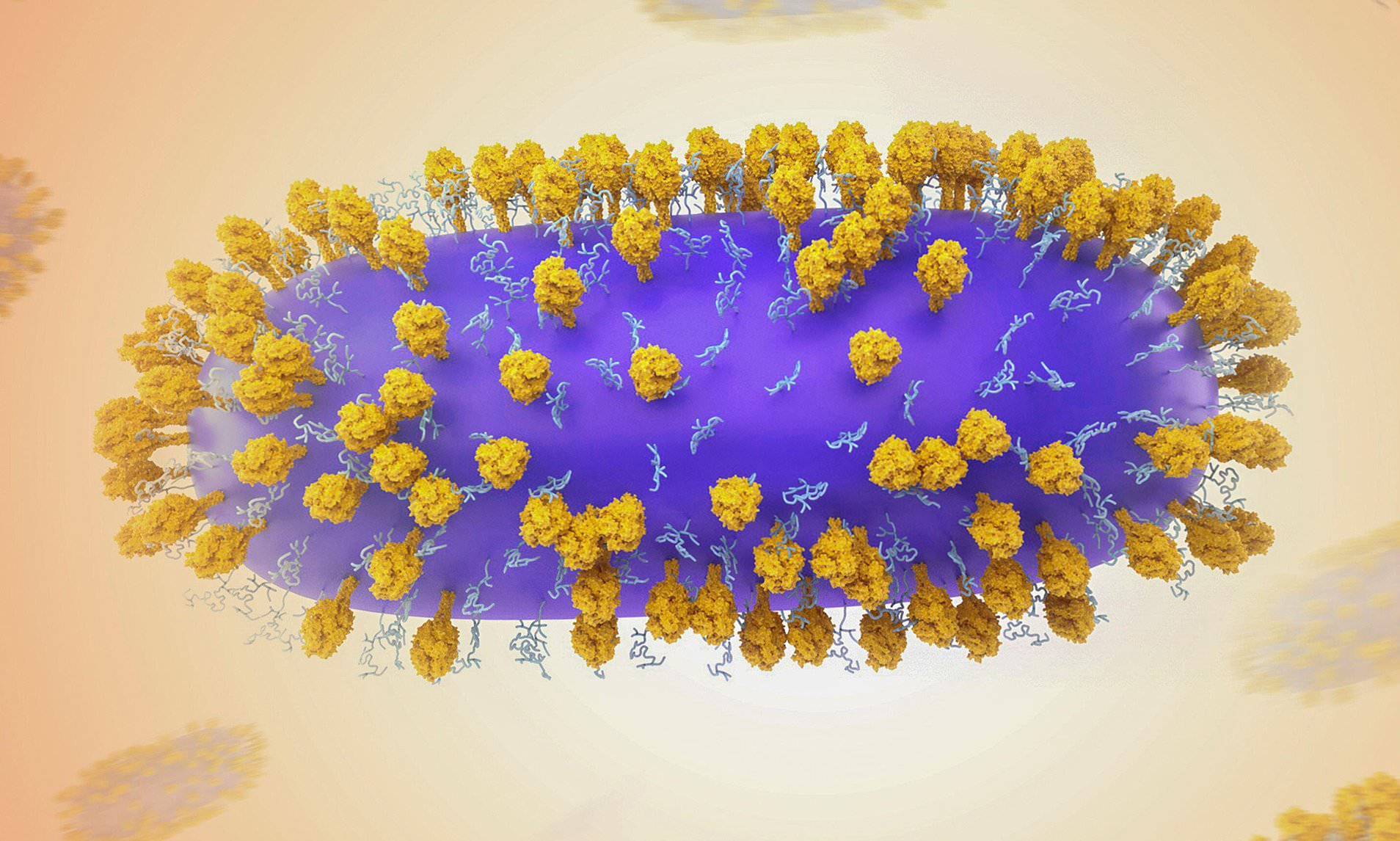 Common cold virus may dramatically raise risk of potentially deadly ...