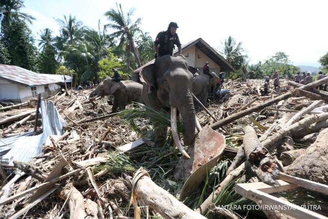 Kemenhut Bongkar Asal Pohon Terbawa Banjir di Batangtoru Tapanuli Selatan
