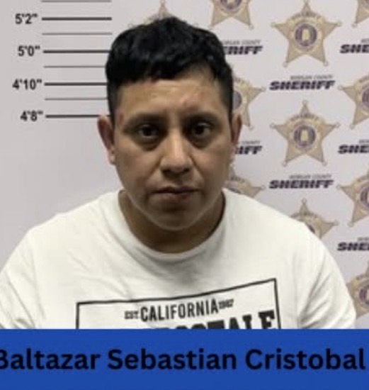 Seven arrested during child sexual predator sting in Decatur