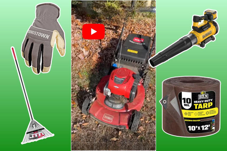 What’s in my toolbox: Must-haves for leaf cleanup